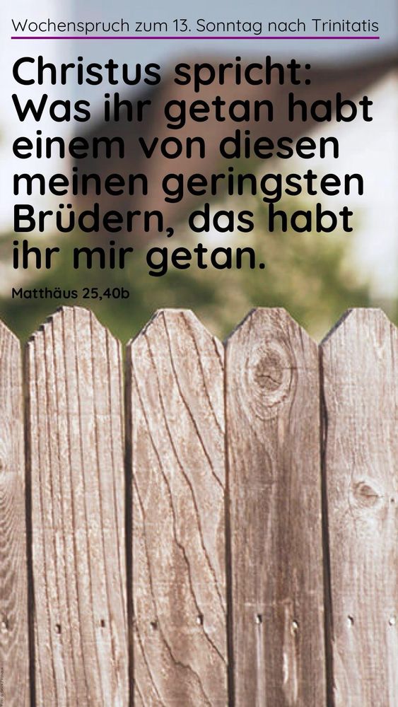Bild mit Zaun und dem Wochenspruch zum 13. Sonntag nach Trinitatis: Wochenspruch: Christus spricht: Was ihr getan habt einem von diesen meinen geringsten Brüdern, das habt ihr mir getan. (Matthäus 25,40b)