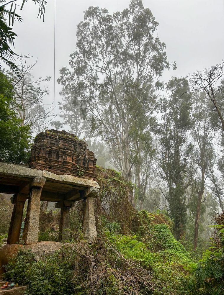 A photo of an ancient "gopura" built atop columns made from peninsular gneiss