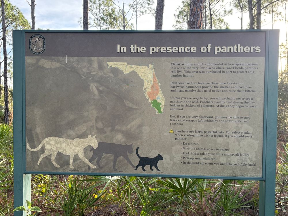 Information sign. In the presence of panthers. 