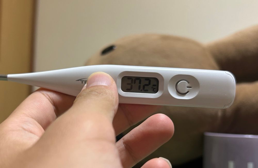 体温計を持っている写真
「37.7℃」
後ろに茶色いうさぎのぬいぐるみ