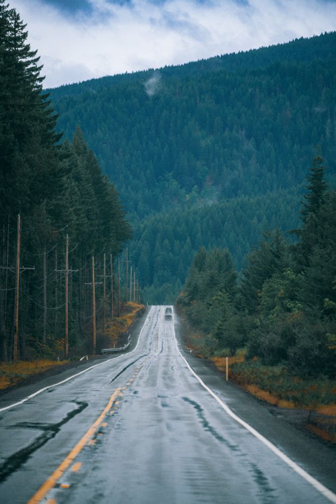Wet forest road