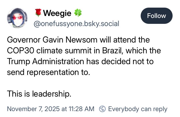 A Bluesky post from Weegie, @onefussyone.bsky.social.

It reads, "Governor Gavin Newsom will attend the COP30 climate summit in Brazil, which the Trump Administration has decided not to send representation to. This is leadership."

Dated November 7, 2025 at 11:28 AM.