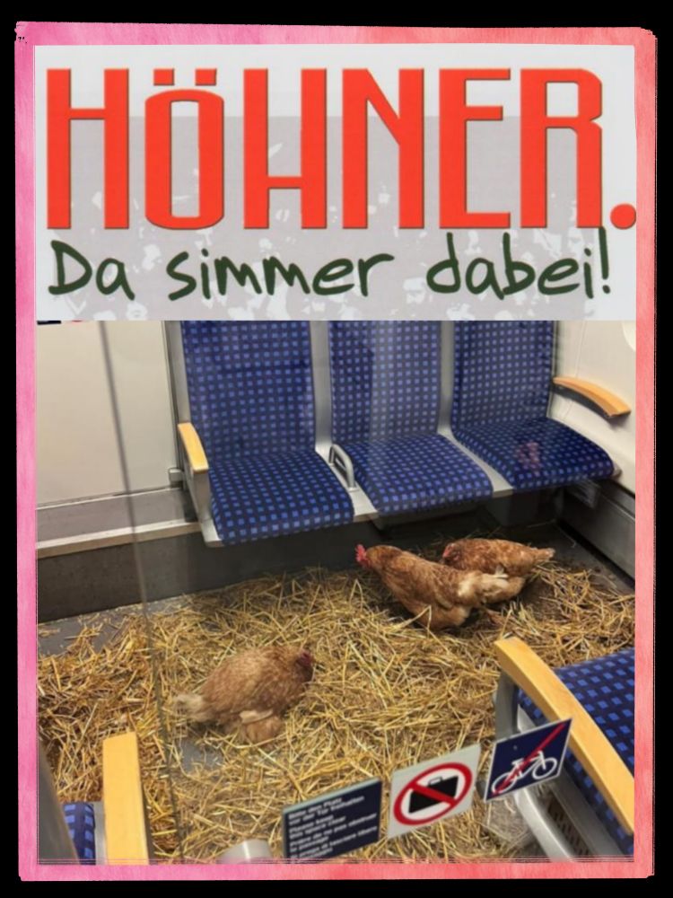 Überschrift "Höhner - Da simmer dabei". Darunter das Bild der Hühner in der S-Bahn