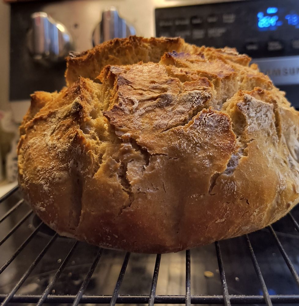 Side view of the sourdough, showcasing the peaks and cragginess. I'm thinking it looks pretty good!