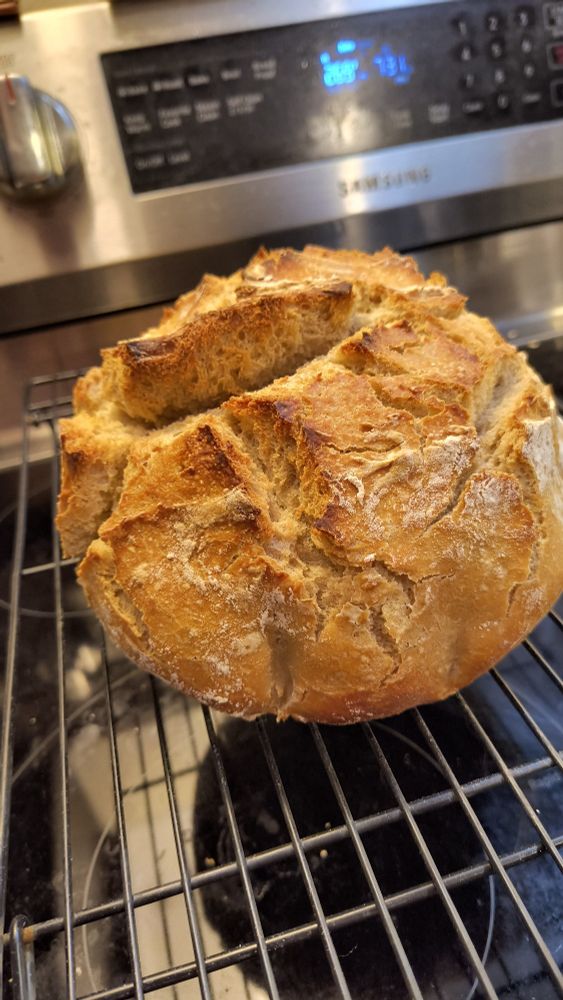 Another different angle on the sourdough. I'm a broken record with these photos, sorry! This is almost from the top, and you can see where I tried to score it. I need a lame, I think.