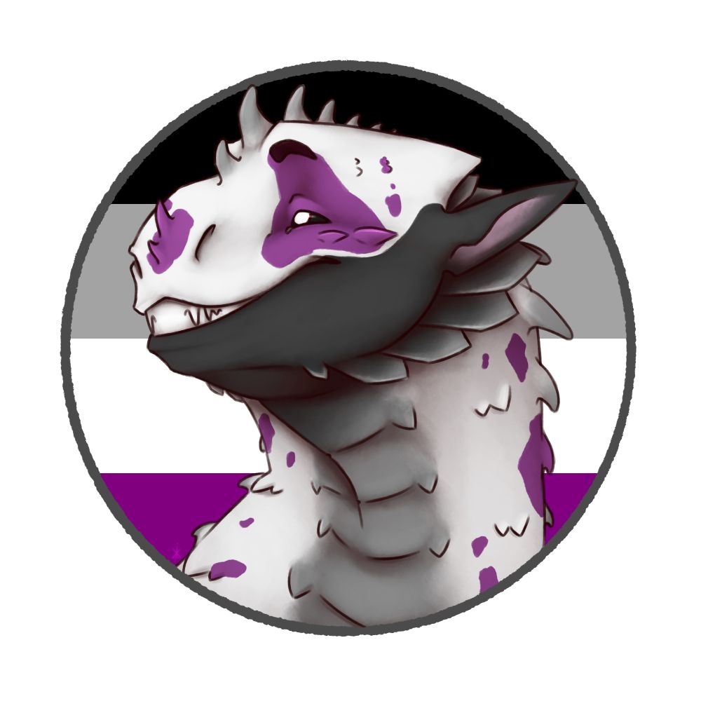 A purple, gray and black dragon in front of the asexual pride flag