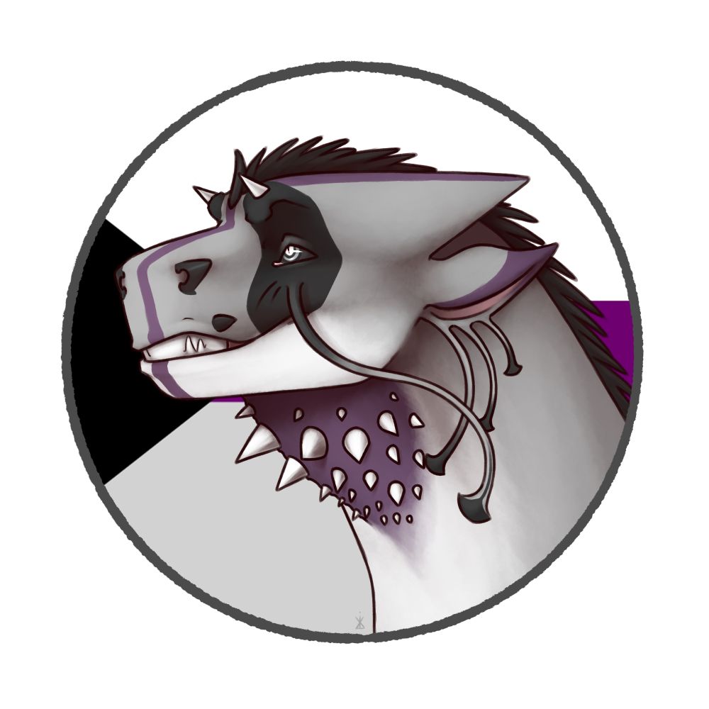 A black, grey and purple dragon with white spikes in front of the demisexual flag