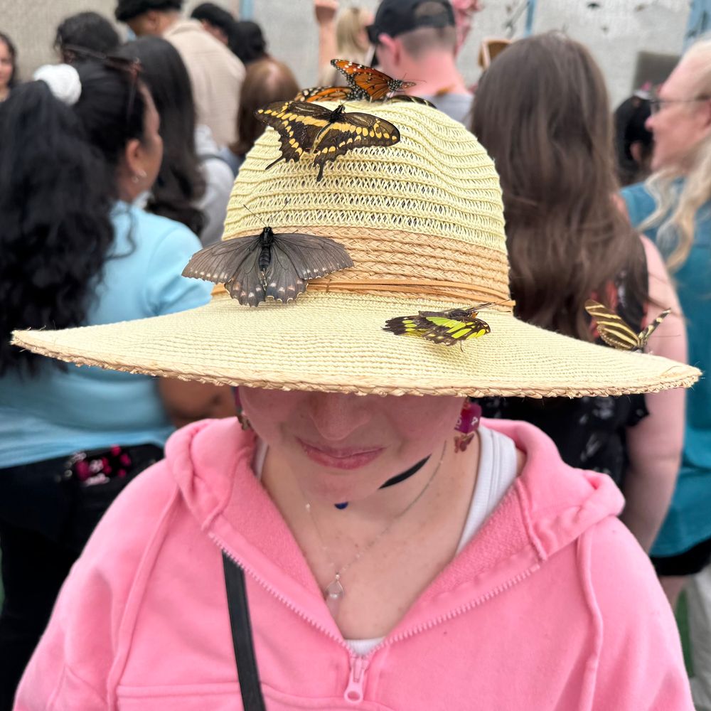 Photo of Sarah, face partially hidden, in a pink hoodie and sun hat, with butterflies resting on the sun hat. 