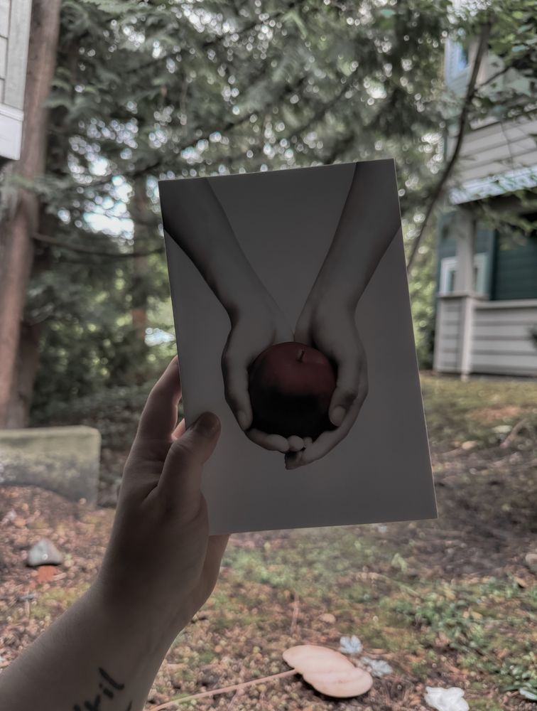 Photo of a hand holding twilight 