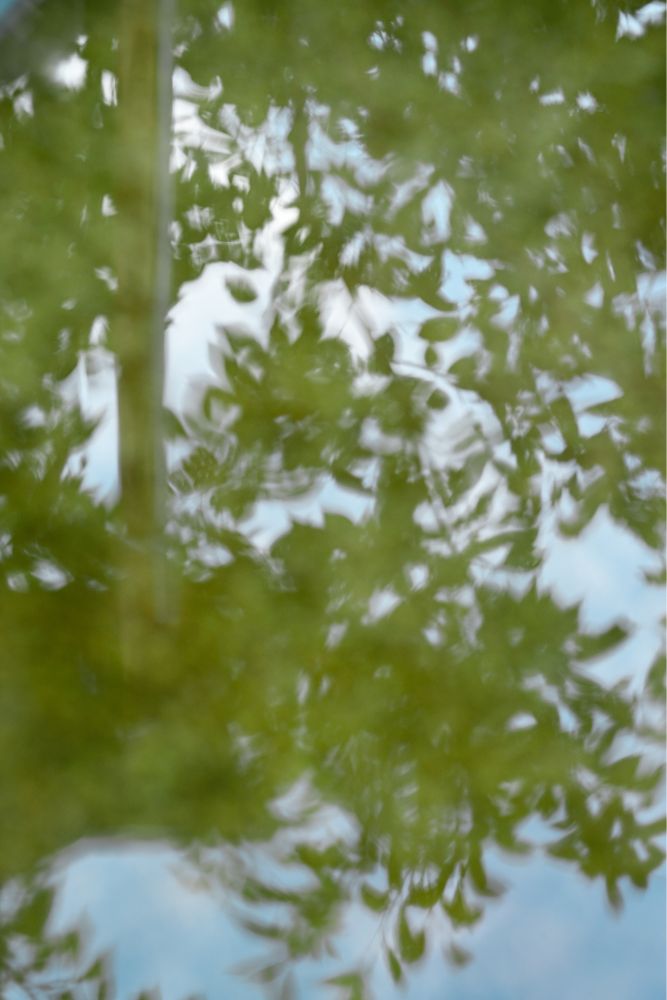 お手水鉢のようなものへの鏡面反射と風による揺らぎです。