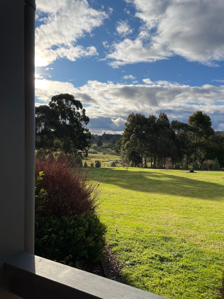 Rolling green lawn, bushes and trees in dappled winter light.