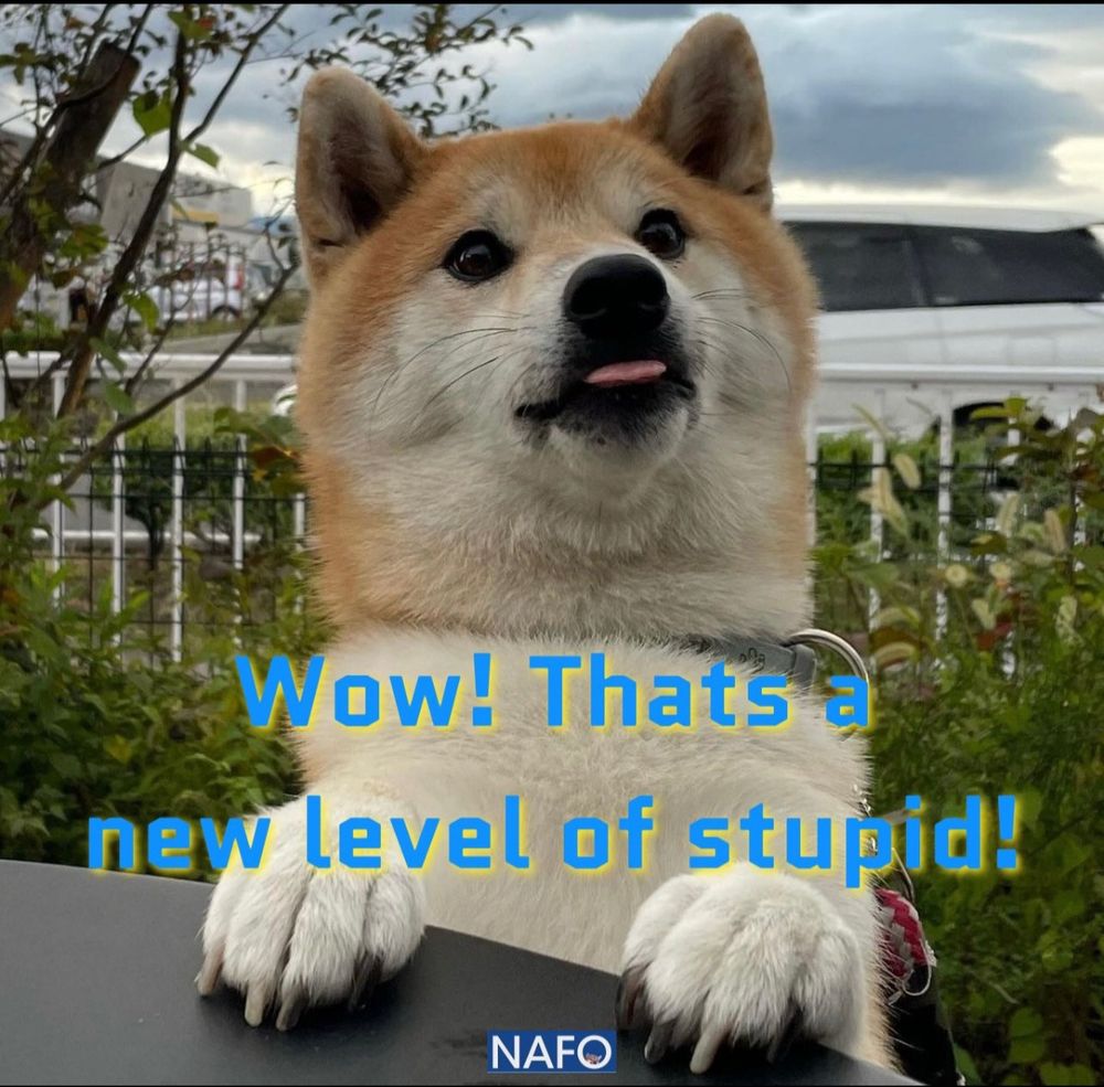 Comment image