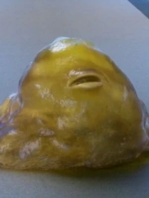 Ein Bild von Yaphit aus The Orville. Ein galertartige Lebensform aka grüner Blob mit Mund.