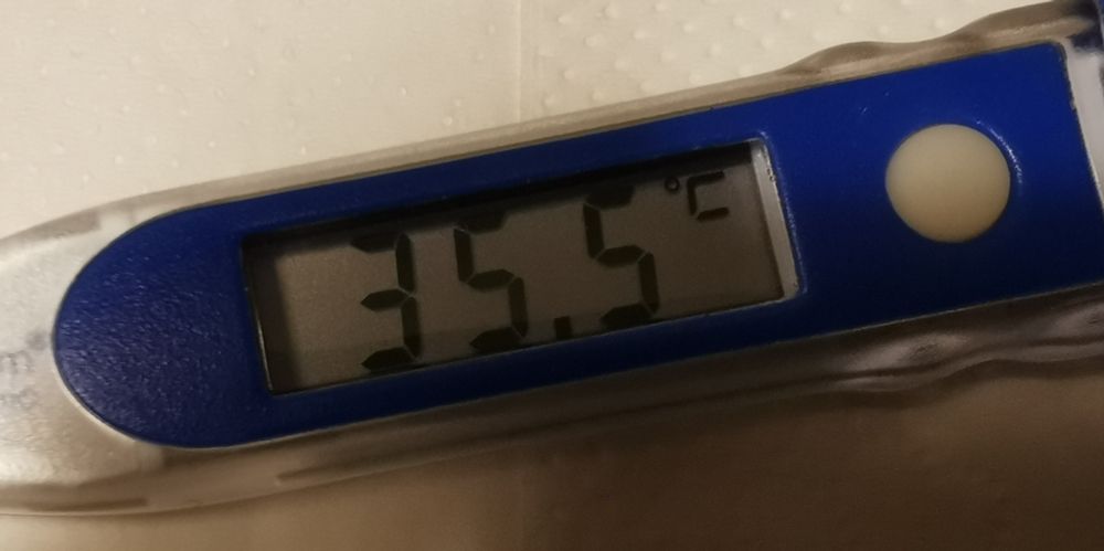 Fieberthermometer zeigt 35,5 Grad Celsius Körpertemperatur.