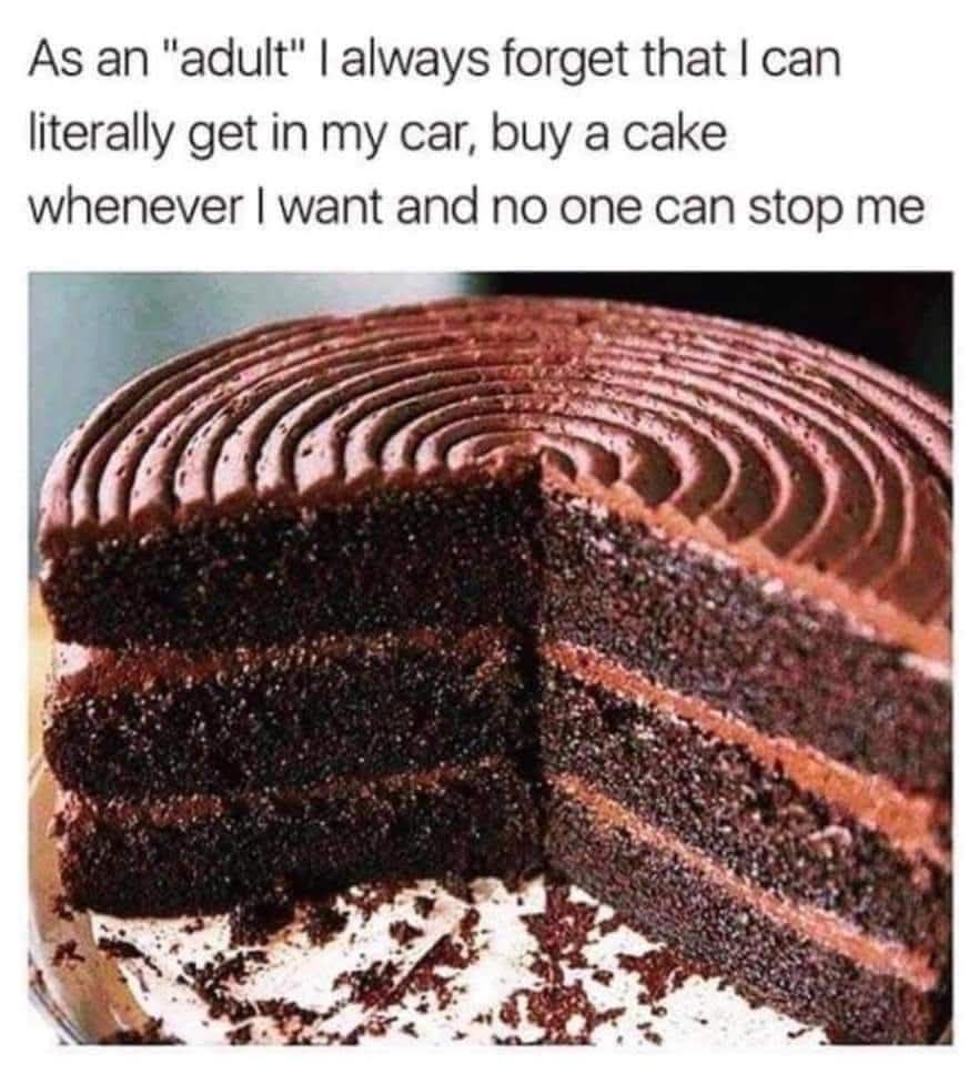 A photo of a chocolate cake with a significant portion missing, accompanied by the caption: "As an 'adult' I always forget that I can literally get in my car, buy a cake whenever I want and no one can stop me."