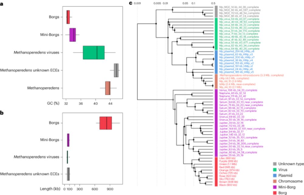 Methanotrophic Methanoperedens archaea host diverse and interacting extrachromosomal elements - Nature Microbiology