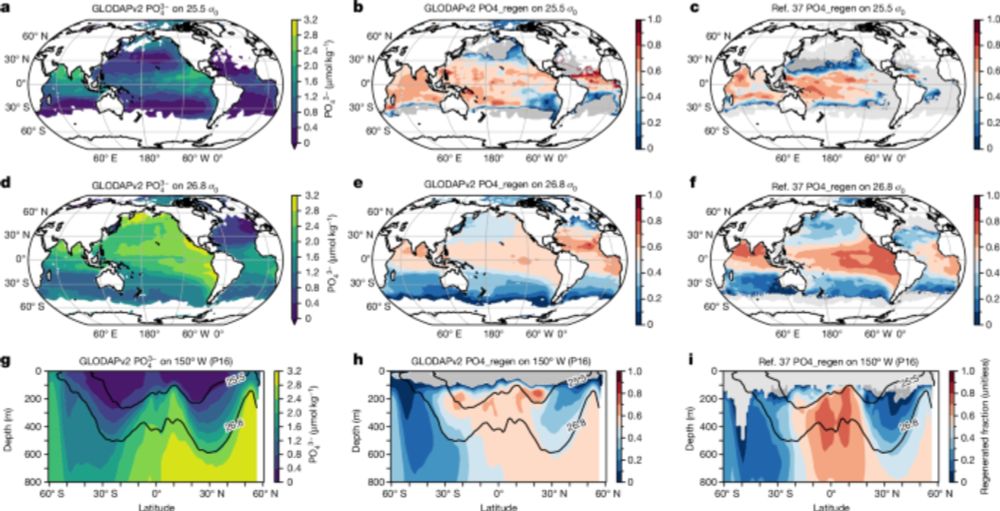 Low-latitude mesopelagic nutrient recycling controls productivity and export - Nature