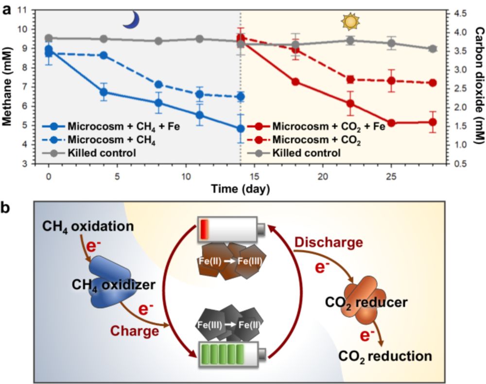 Electrochemically coupled CH4 and CO2 consumption driven by microbial processes - Nature Communications