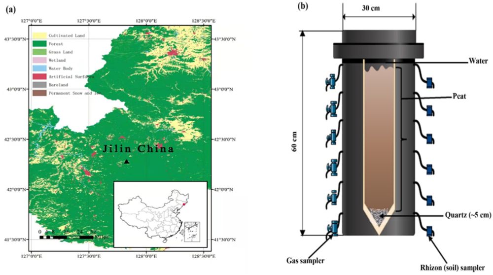 Frontiers | New insights into the spatial variability of microbial diversity and density in peatlands exposed to various electron acceptors with an emphasis on methanogenesis and CO2 fluxes