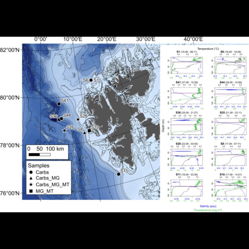 Carbohydrates and carbohydrate degradation gene abundance and transcription in Atlantic waters of th...