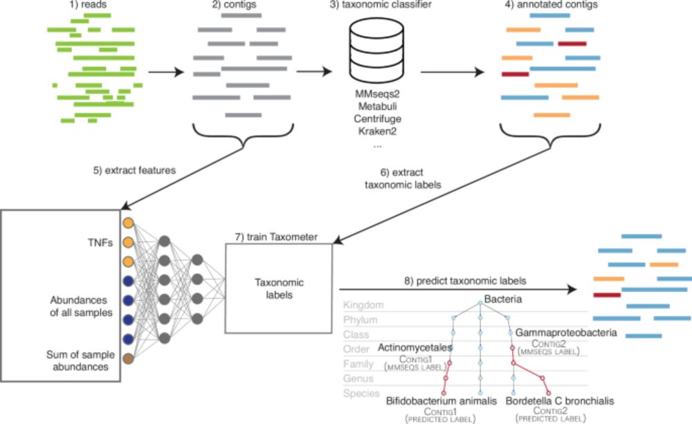 Taxometer: Improving taxonomic classification of metagenomics contigs - Nature Communications