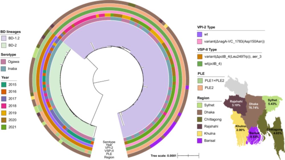 Core and accessory genomic traits of Vibrio cholerae O1 drive lineage transmission and disease severity - Nature Communications