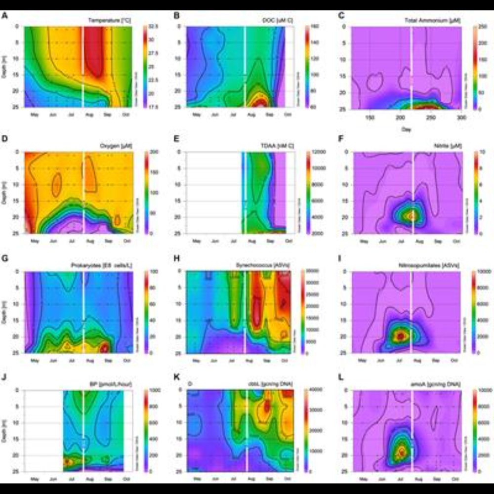 Suboxic DOM is bioavailable to surface prokaryotes in a simulated overturn of an oxygen minimum zone...