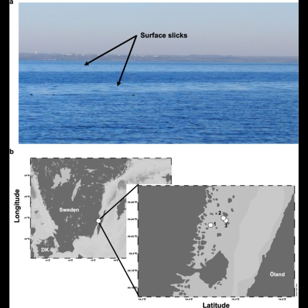 Ecogenomics and cultivation reveal distinctive viral-bacterial communities in the surface microlayer...