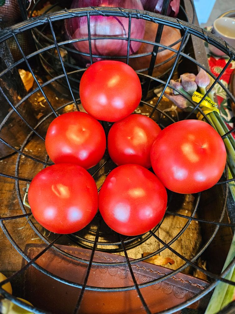 tomatoes stem-side down in a basket. 