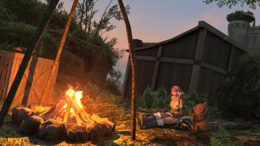 A pink-haired Au Ra woman sits next to her bear at a campfire.

Who is this mystery woman who keeps showing up on my profile?!