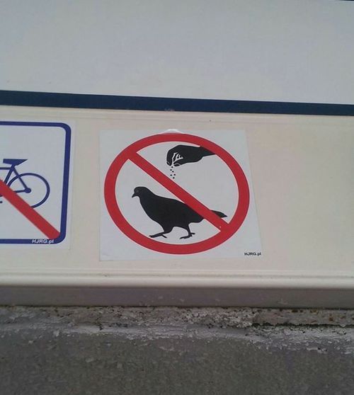 Un panneau d'interdiction (cercle rouge barré) représentant un pigeon avec au-dessus une main qui donne des graines.
