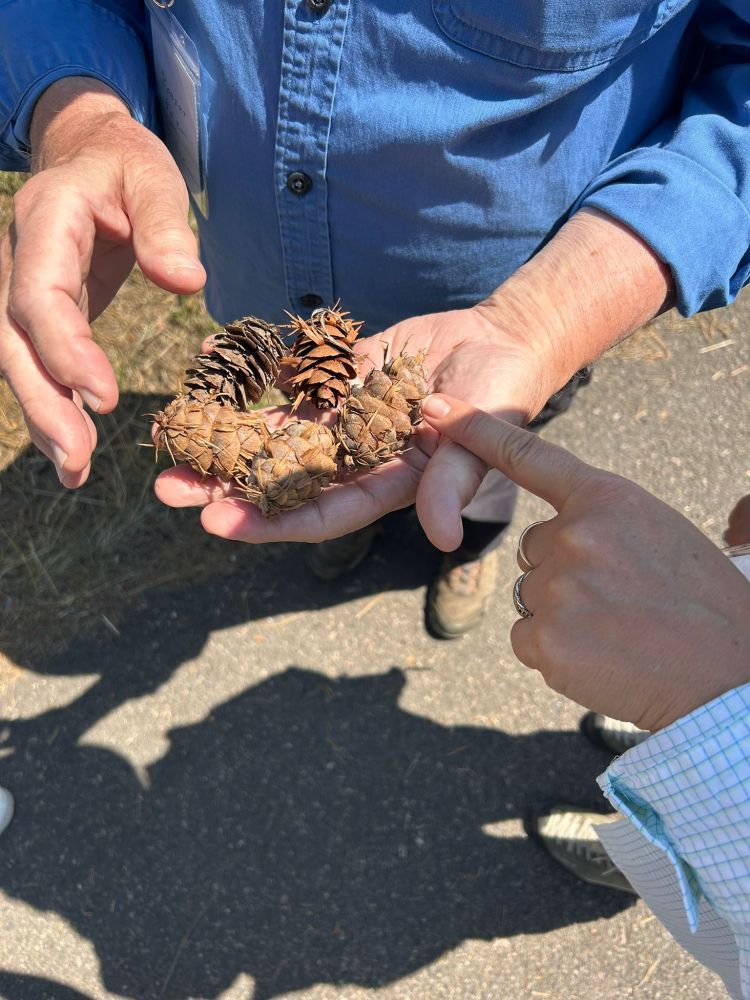 Photos sent by participant of different Colorado's landscapes and participants of the fieldtrip 
