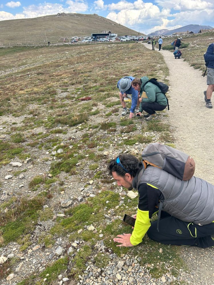 Photos sent by participant of different Colorado's landscapes and participants of the fieldtrip 