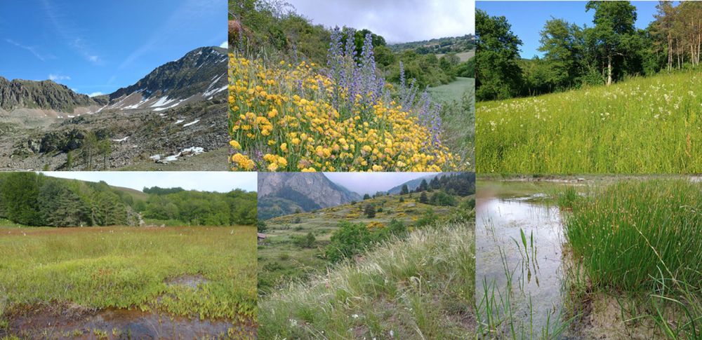 Image of six different vegetation types in Europe