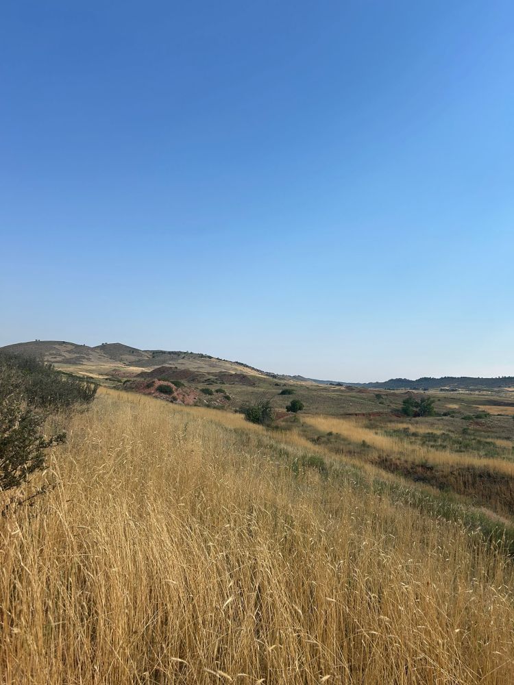 Photos sent by participant of different Colorado's landscapes and participants of the fieldtrip 
