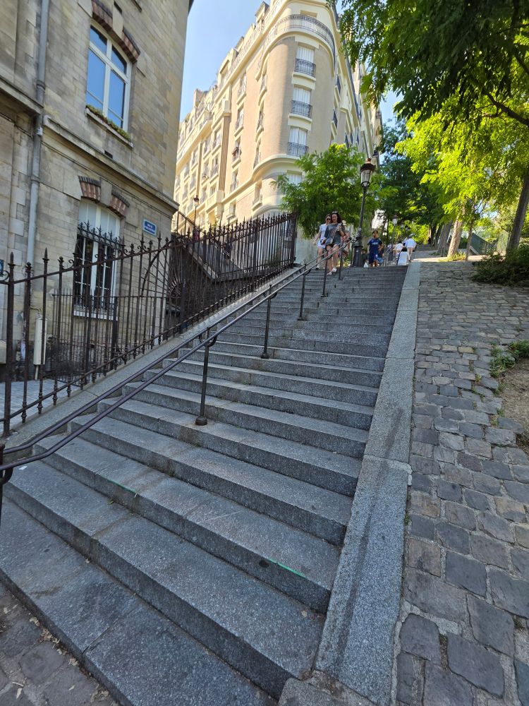 A series of stone steps with an iron railing in the center. Trees lining the right side and buildings on the left