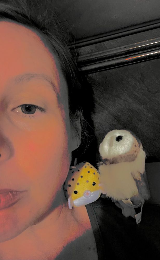Half of a woman’s face with her pet owl and blowfish on her shoulder 