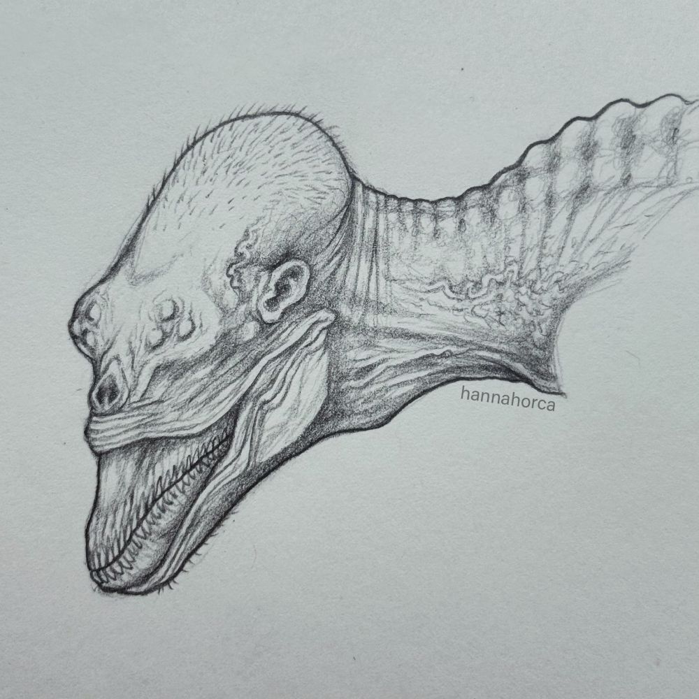 Pencil drawing of a monster