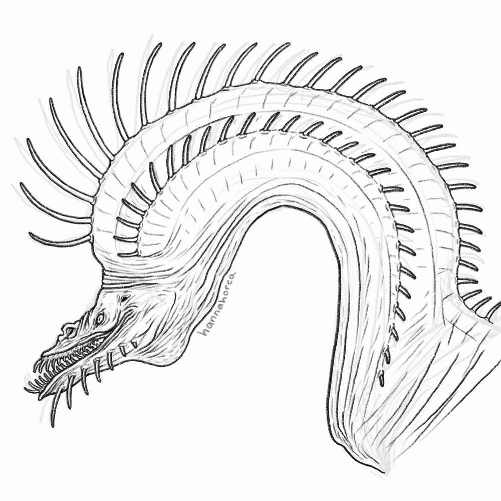 Line drawing of a dragon-like creature with many long spikes on its neck 