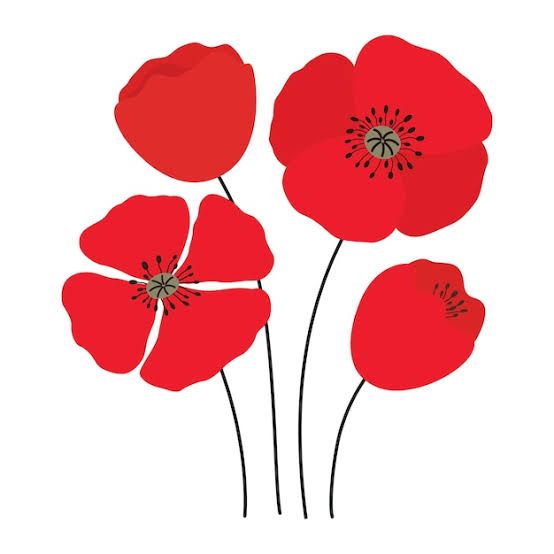 Anzac poppies
