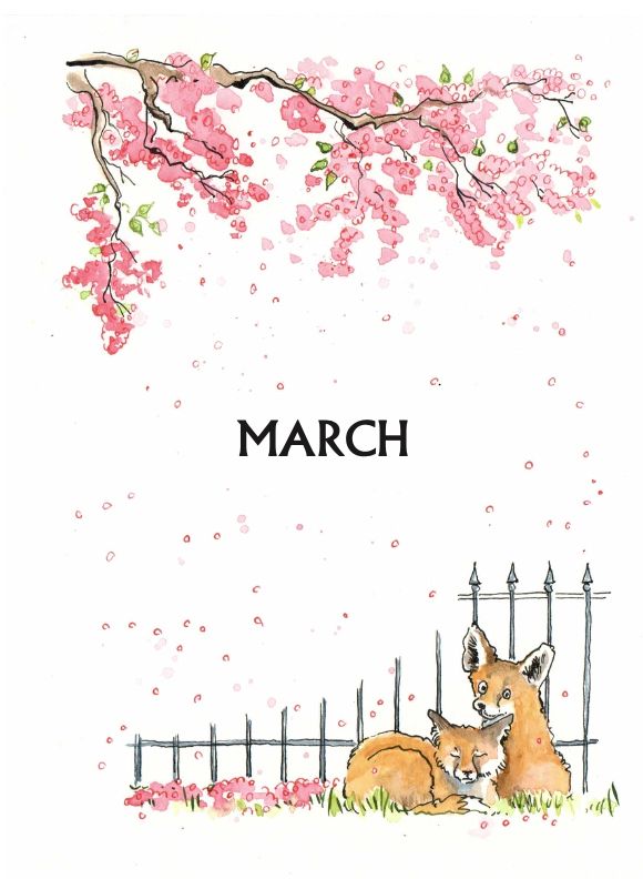 The March intro page with illustrations by Luci Power of foxes and a fence and a blossom tree.