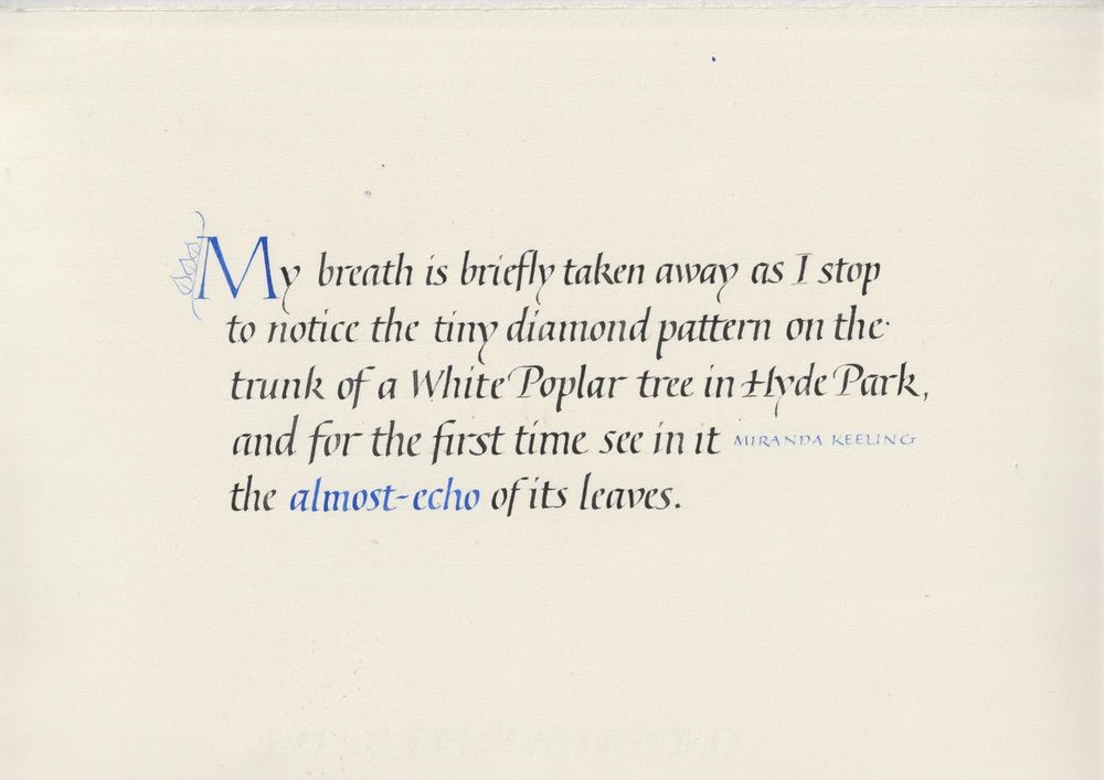 A photograph of beautiful calligraphy in black and blue ink on cream paper of my words: My breath is briefly taken away as I stop to notice the tiny diamond pattern on the trunk of a White Poplar tree in Hyde Park, and for the first time see in it the almost-echo of its leaves.