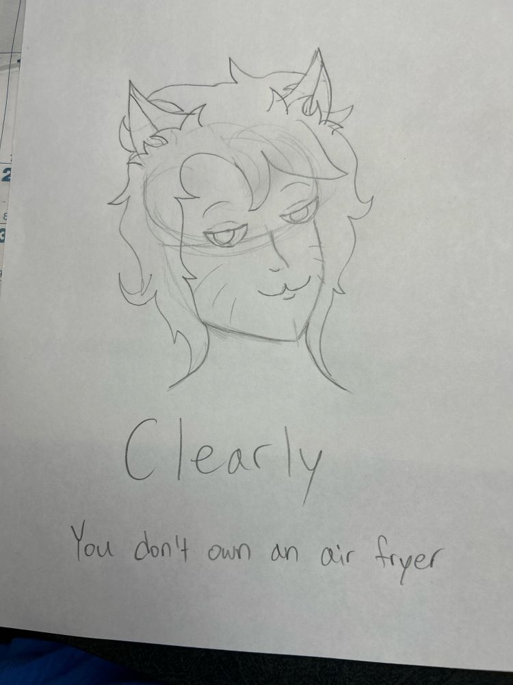 Traditional sketch of Silver with a smug look on his face. Caption reads “Clearly you don’t own an air fryer”