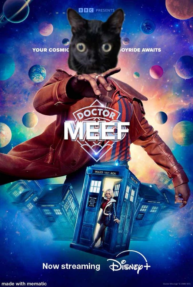 A poster for the latest season of “Doctor Who”, except a cutout of a funny looking black cat we call “MEEF” was put over the Doctor’s face. It also now says “Doctor MEEF” instead of “Doctor Who”