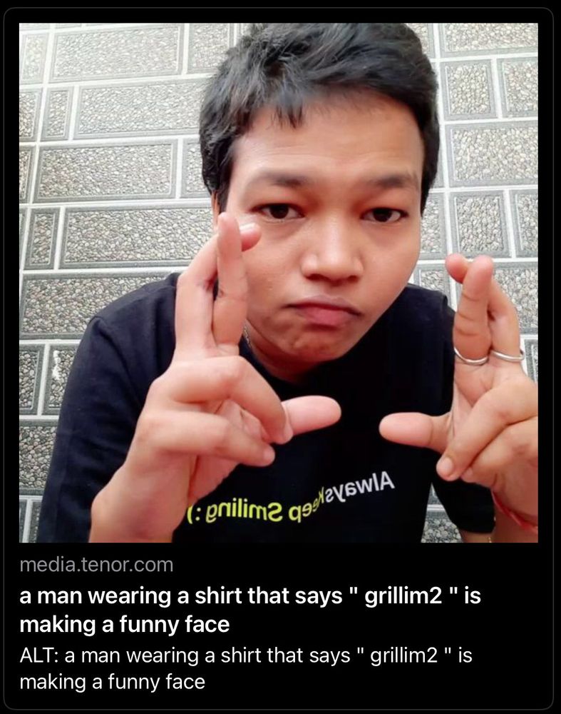 A description of a GIF reading ‘a man wearing a shirt that says “grillim2” is making a funny face’ but he’s not making a funny face, also that’s not what his shirt says. The important information should be that his fingers are crossed on both hands, but the software isn’t perceptive enough to pick up on that.