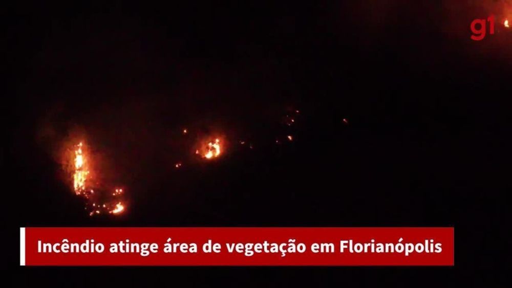 Polícia descobre causa de incêndio que destruiu 23 km² de mata em Florianópolis e indicia responsável