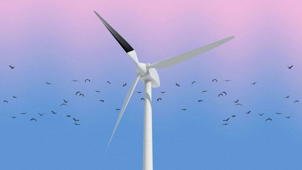 Research into the effect of black blade in wind turbine