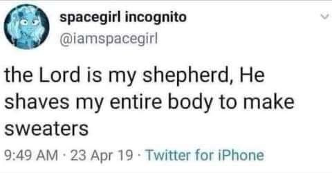 Tweet from @iamspacegirl: "the Lord is my shepherd, He shaves my entire body to make sweaters"