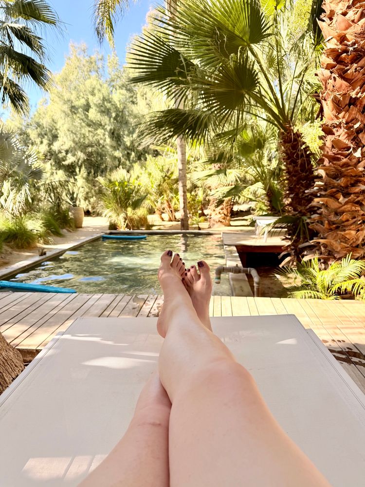 A photograph of a white woman’s legs from her perspective; she is sitting in a lounge chair before a pool, surrounded by palms and other desert flora. Her toenails are painted a gorgeous purple.