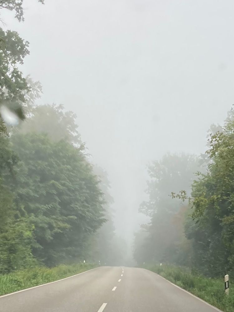 einsame landstraße, die in den nebel führt